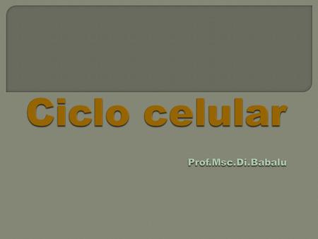 Ciclo celular Prof.Msc.Di.Babalu