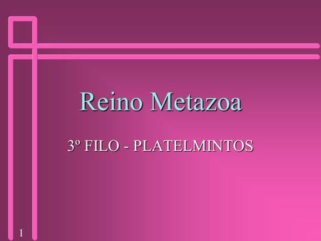 Reino Metazoa 3º FILO - PLATELMINTOS.