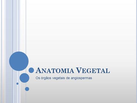 Os órgãos vegetais de angiospermas