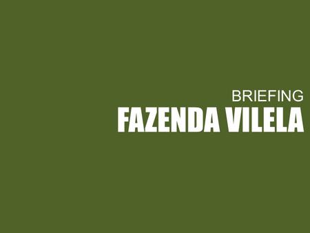 BRIEFING FAZENDA VILELA.