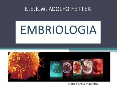 E.E.E.M. ADOLFO FETTER EMBRIOLOGIA Maria Cecília Monteiro.