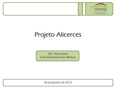30 de janeiro de 2013 EB1 Afonsoeiro Funcionamento dos Ninhos Projeto Alicerces.