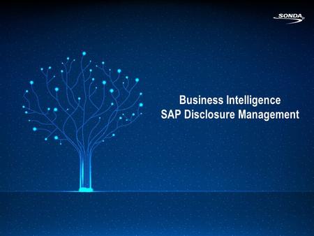 Business Intelligence SAP Disclosure Management