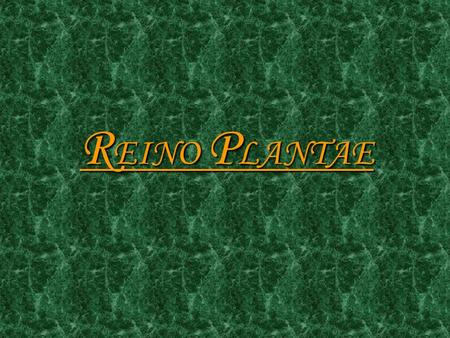 REINO PLANTAE.