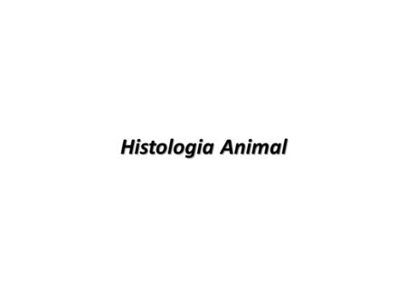 Histologia Animal.