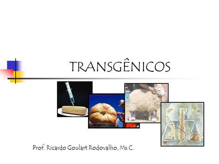 TRANSGÊNICOS Prof. Ricardo Goulart Rodovalho, Ms.C.