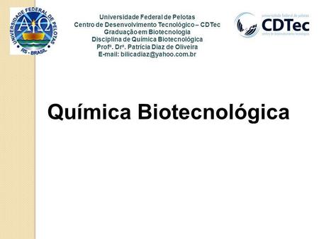 Profa. Dra. Patrícia Diaz de Oliveira
