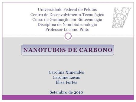 Universidade Federal de Pelotas Centro de Desenvolvimento Tecnológico Curso de Graduação em Biotecnologia Disciplina de Nanobiotecnologia Professor Luciano.