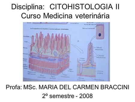 Disciplina: CITOHISTOLOGIA II Curso Medicina veterinária