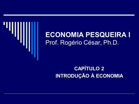ECONOMIA PESQUEIRA I Prof. Rogério César, Ph.D.
