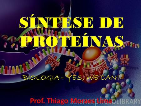 Prof. Thiago Moraes Lima