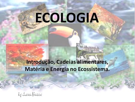 Introdução, Cadeias alimentares, Matéria e Energia no Ecossistema.