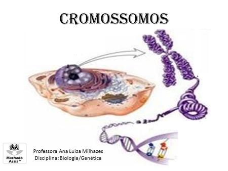 Cromossomos Professora Ana Luiza Milhazes