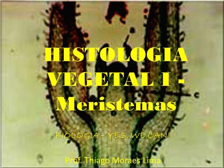 HISTOLOGIA VEGETAL I - Meristemas