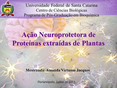Ação Neuroprotetora de Proteínas extraídas de Plantas