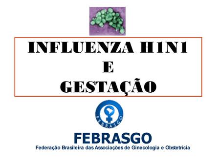 INFLUENZA H1N1 E GESTAÇÃO