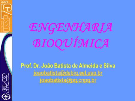 ENGENHARIA BIOQUÍMICA Prof. Dr. João Batista de Almeida e Silva