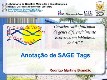 Anotação de SAGE Tags Rodrigo Martins Brandão.