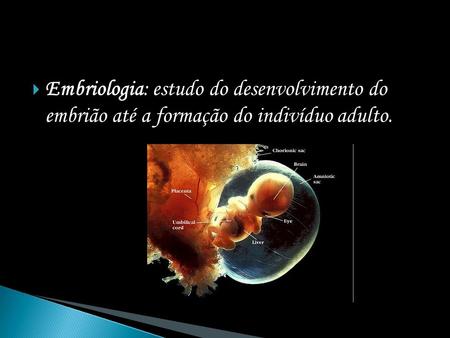 Gametas humanos espermatozóide óvulo. Embriologia: estudo do desenvolvimento do embrião até a formação do indivíduo adulto.