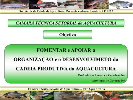 Câmara Técnica Setorial de Aquacultura – CTSAqua / CEPA