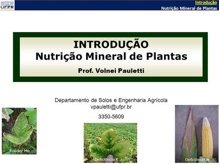 Nutrição Mineral de Plantas