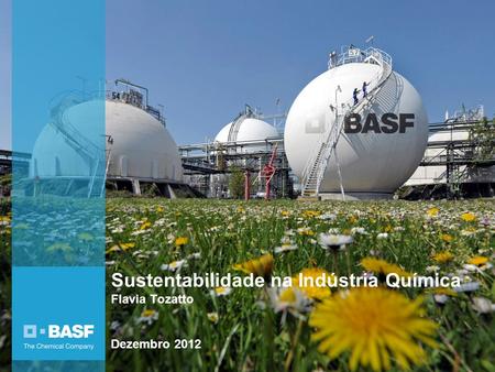 Sustentabilidade na Indústria Química Flavia Tozatto Dezembro 2012