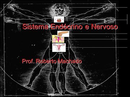 Sistema Endócrino e Nervoso