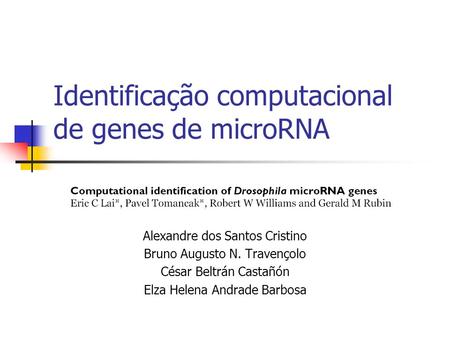 Identificação computacional de genes de microRNA