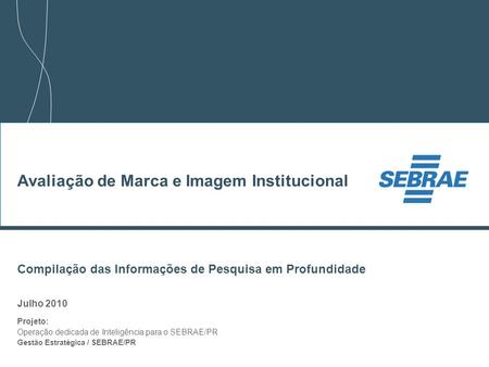 1 Compilação das Informações de Pesquisa em Profundidade Julho 2010 Projeto: Operação dedicada de Inteligência para o SEBRAE/PR Gestão Estratégica / SEBRAE/PR.