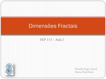 Dimensões Fractais FEP 113 – Aula 2 Marcello Magri Amaral