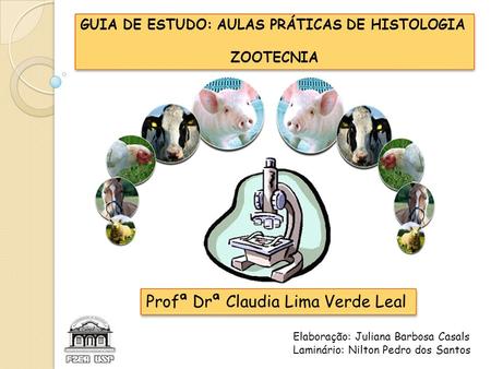 Profª Drª Claudia Lima Verde Leal
