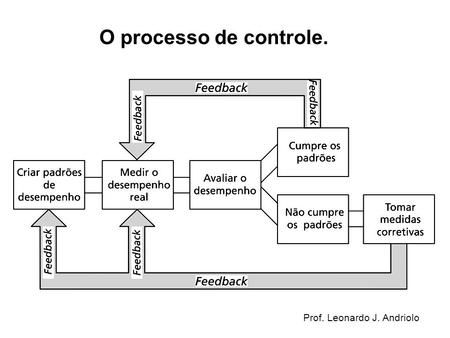 O processo de controle. Prof. Leonardo J. Andriolo.
