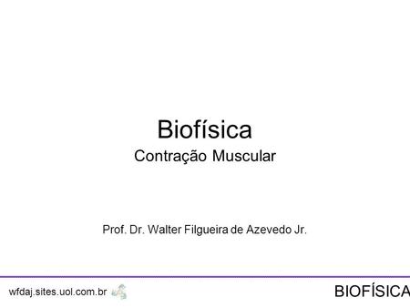 Contração Muscular Prof. Dr. Walter Filgueira de Azevedo Jr.