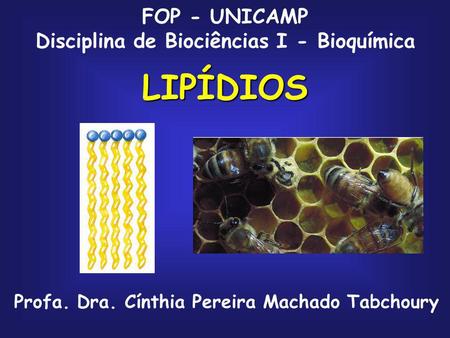 LIPÍDIOS FOP - UNICAMP Disciplina de Biociências I - Bioquímica