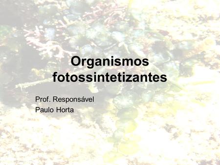 Organismos fotossintetizantes