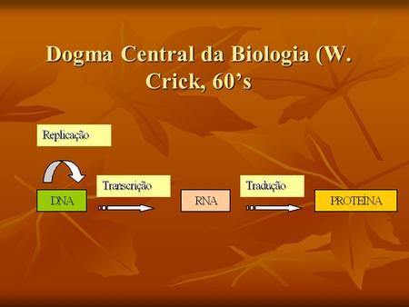 Dogma Central da Biologia (W. Crick, 60’s