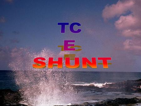 TC E SHUNT.