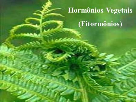 Hormônios Vegetais (Fitormônios).