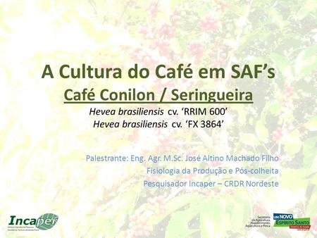 A Cultura do Café em SAF’s Café Conilon / Seringueira Hevea brasiliensis cv. ‘RRIM 600’ Hevea brasiliensis cv. ‘FX 3864’ Palestrante: Eng. Agr. M.Sc. José.