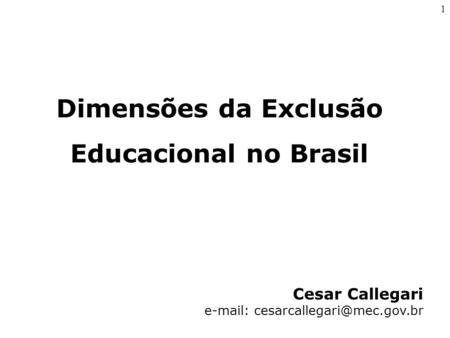 Dimensões da Exclusão Educacional no Brasil