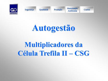 Autogestão Multiplicadores da Célula Trefila II – CSG Segurança