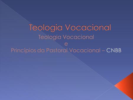 Teologia Vocacional e Princípios da Pastoral Vocacional – CNBB