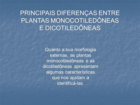 PRINCIPAIS DIFERENÇAS ENTRE PLANTAS MONOCOTILEDÔNEAS E DICOTILEDÔNEAS