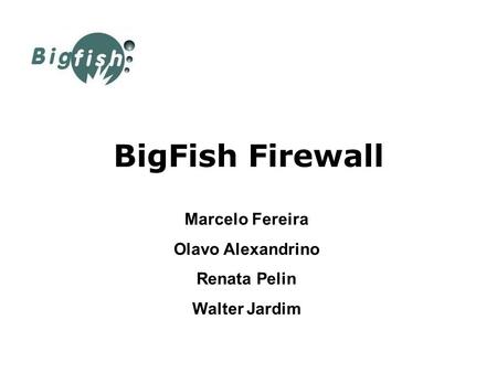 BigFish Firewall Marcelo Fereira Olavo Alexandrino Renata Pelin