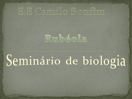 E.E Camilo Bonfim Rubéola