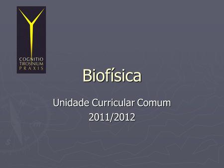 Unidade Curricular Comum 2011/2012