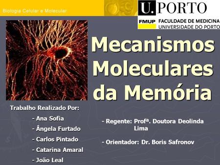 Mecanismos Moleculares da Memória