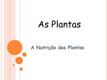 As Plantas A Nutrição das Plantas.