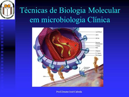 Técnicas de Biologia Molecular em microbiologia Clínica