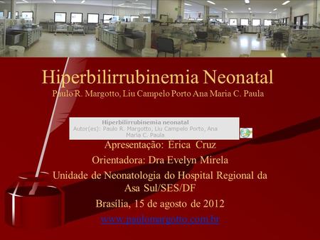 Hiperbilirrubinemia Neonatal Paulo R